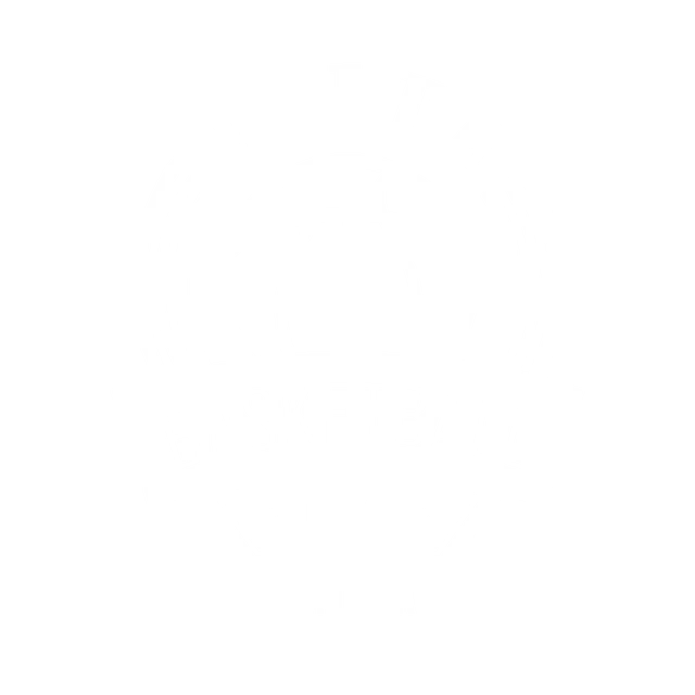 Elite Basketball Camps Logo