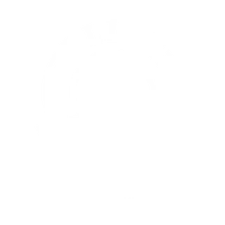 Elite Basketball Camps Logo