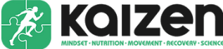 kaizen logo