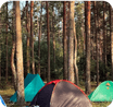 Tents in a forest